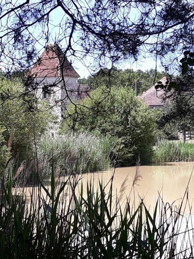 Le Manoir De Pierre Levee, The Originals Collection Hotel Tournon-Saint-Martin Exterior photo
