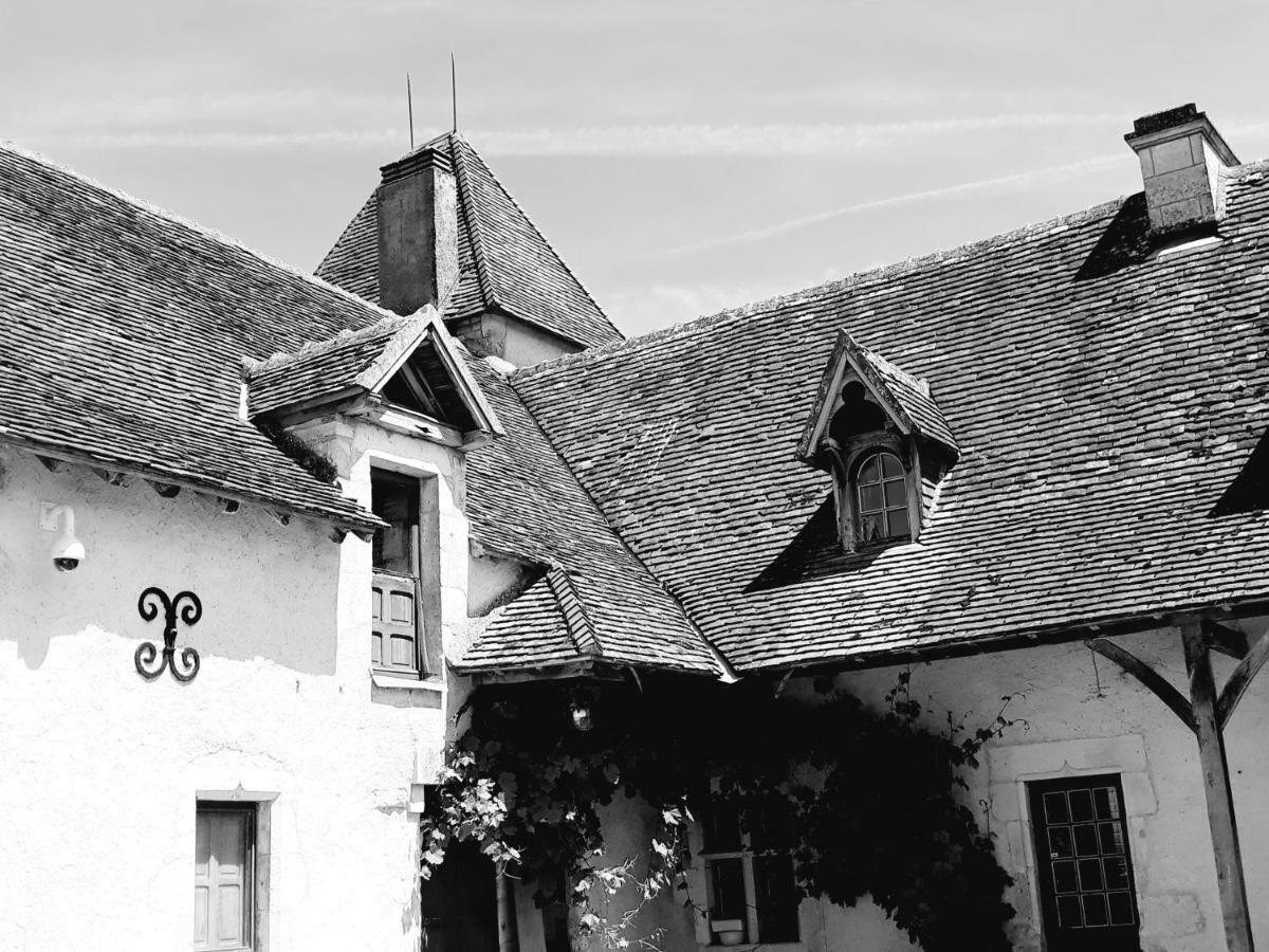 Le Manoir De Pierre Levee, The Originals Collection Hotel Tournon-Saint-Martin Exterior photo