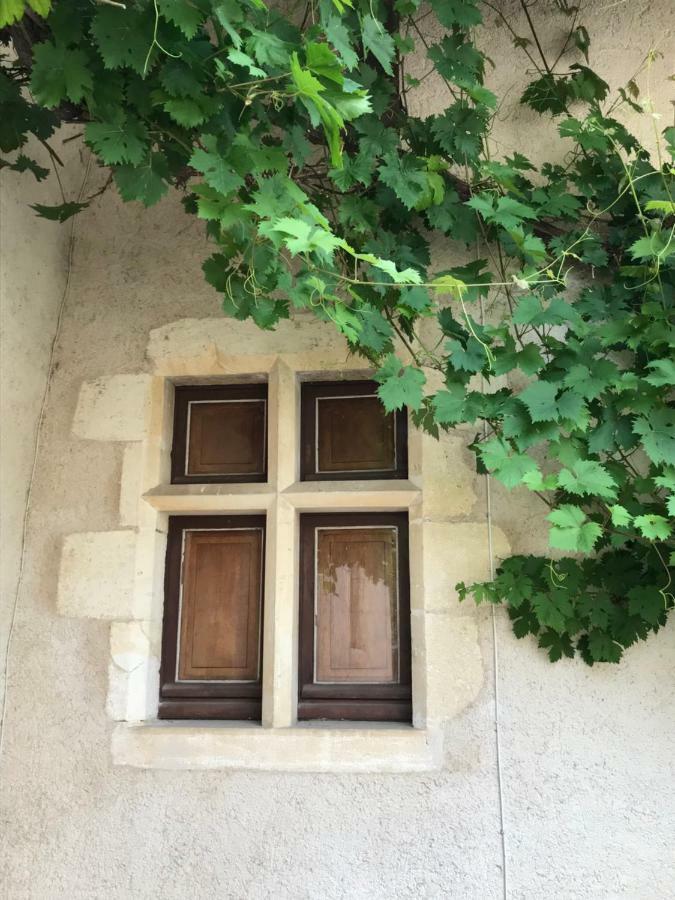 Le Manoir De Pierre Levee, The Originals Collection Hotel Tournon-Saint-Martin Exterior photo