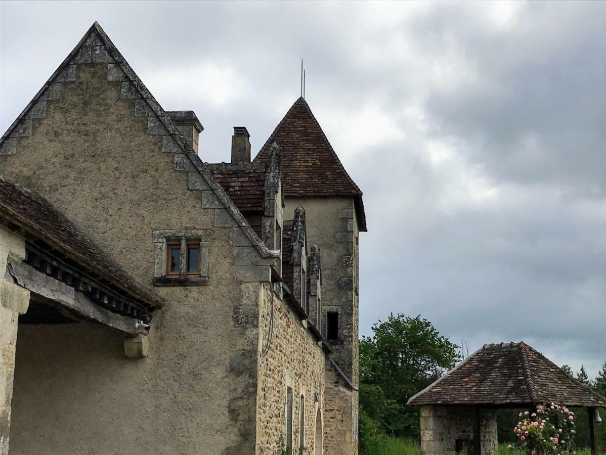 Le Manoir De Pierre Levee, The Originals Collection Hotel Tournon-Saint-Martin Exterior photo
